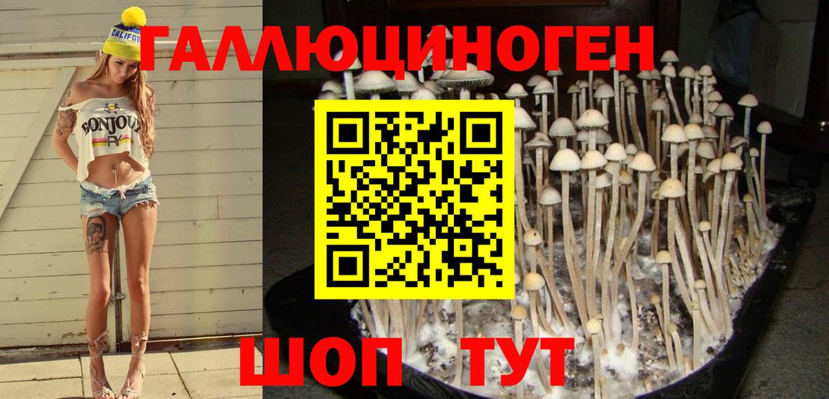 Галлюциногенные грибы Psilocybine cubensis  Галлюциногенные грибы MAGIC MUSHROOMS  Вход с VPN  Нововоронеж 