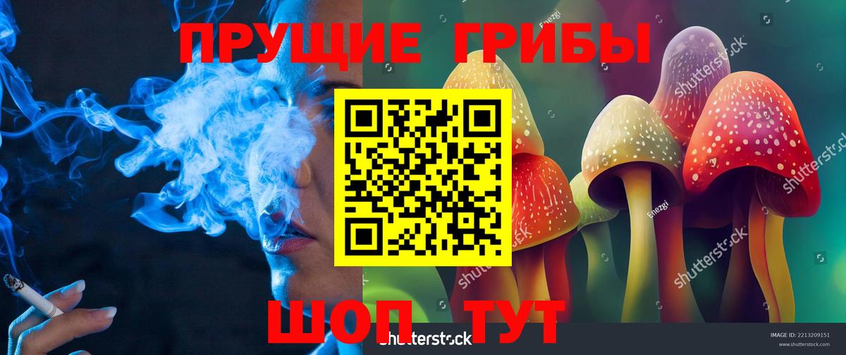 Галлюциногенные грибы GOLDEN TEACHER Нововоронеж